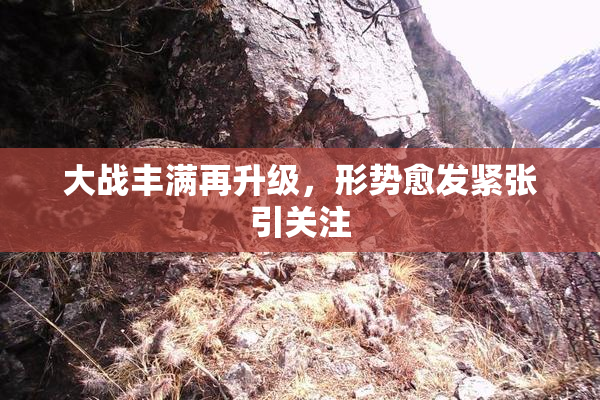 大战丰满再升级，形势愈发紧张引关注