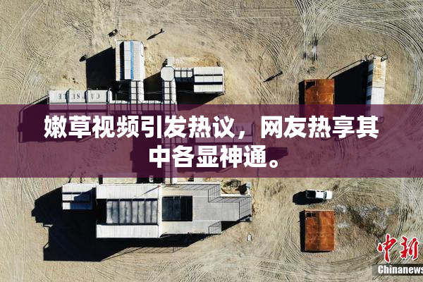 嫩草视频引发热议，网友热享其中各显神通。