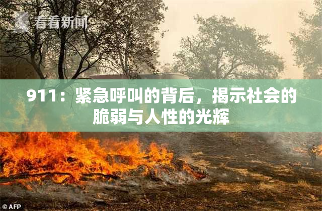 911：紧急呼叫的背后，揭示社会的脆弱与人性的光辉