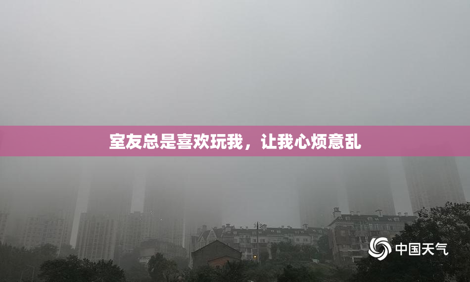 室友总是喜欢玩我，让我心烦意乱