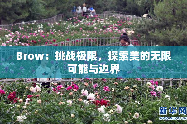 Brow：挑战极限，探索美的无限可能与边界