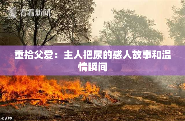 重拾父爱：主人把尿的感人故事和温情瞬间