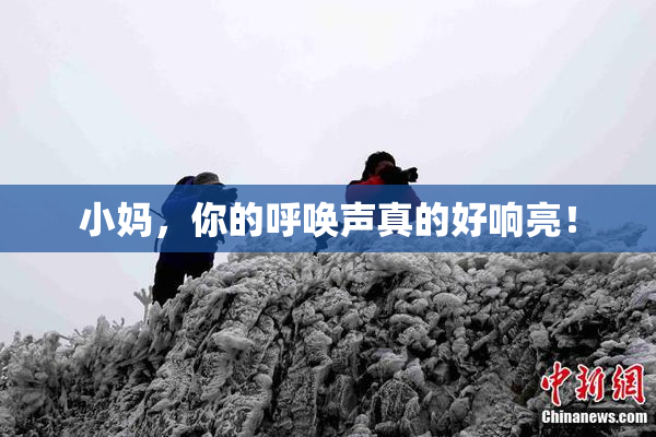 小妈，你的呼唤声真的好响亮！