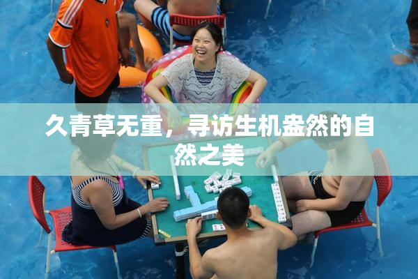 久青草无重，寻访生机盎然的自然之美