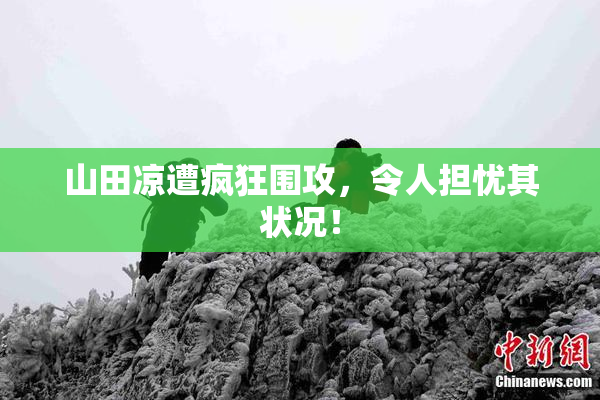 山田凉遭疯狂围攻，令人担忧其状况！