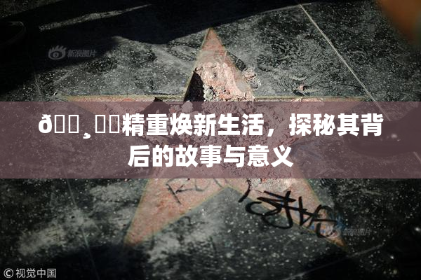 🌸‌✿精重焕新生活，探秘其背后的故事与意义