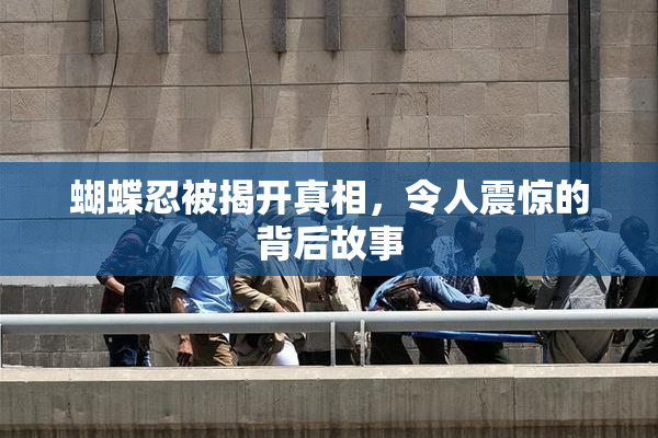 蝴蝶忍被揭开真相，令人震惊的背后故事