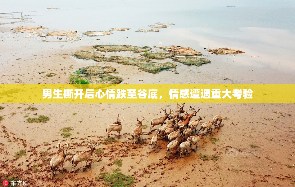 男生撕开后心情跌至谷底，情感遭遇重大考验