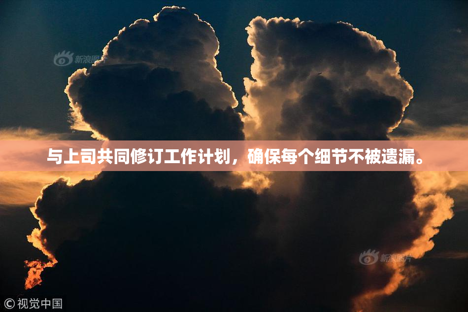 与上司共同修订工作计划，确保每个细节不被遗漏。
