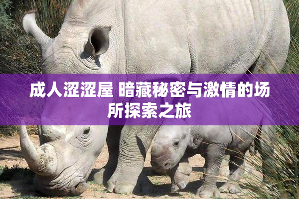 成人涩涩屋 暗藏秘密与激情的场所探索之旅