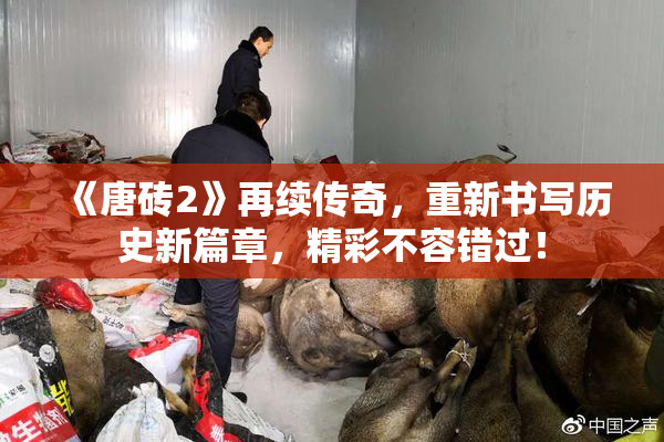 《唐砖2》再续传奇，重新书写历史新篇章，精彩不容错过！