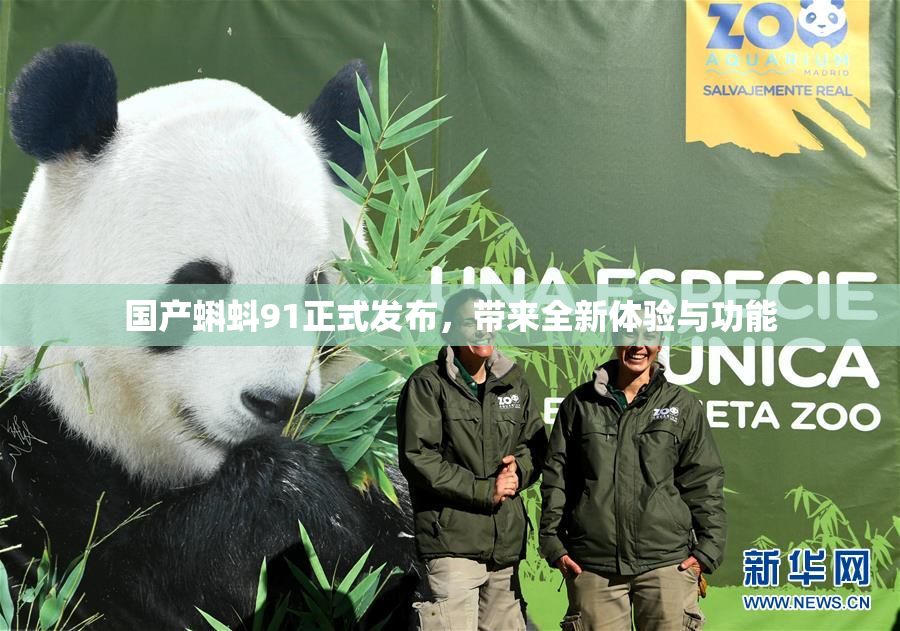 国产蝌蚪91正式发布，带来全新体验与功能