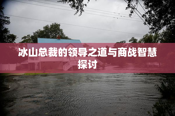 冰山总裁的领导之道与商战智慧探讨