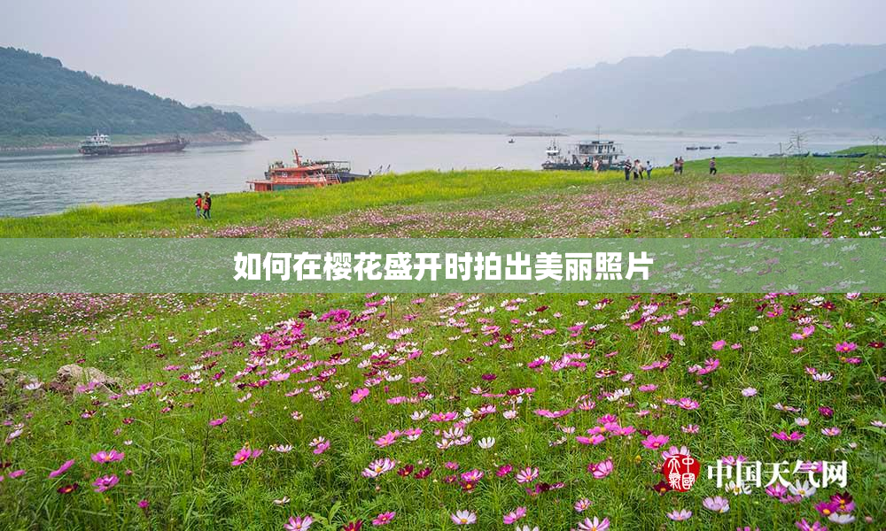 如何在樱花盛开时拍出美丽照片