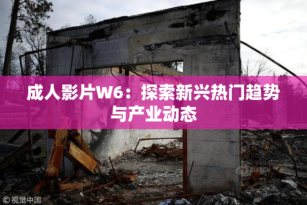 成人影片W6：探索新兴热门趋势与产业动态
