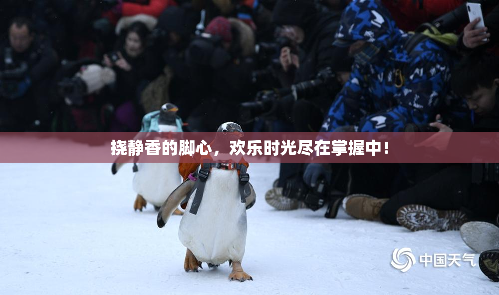 挠静香的脚心，欢乐时光尽在掌握中！