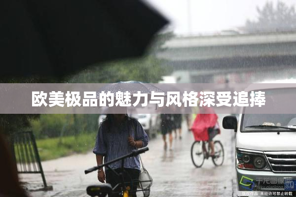 欧美极品的魅力与风格深受追捧