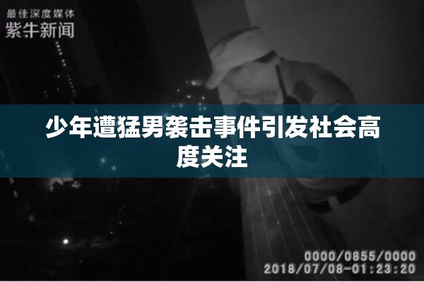 少年遭猛男袭击事件引发社会高度关注