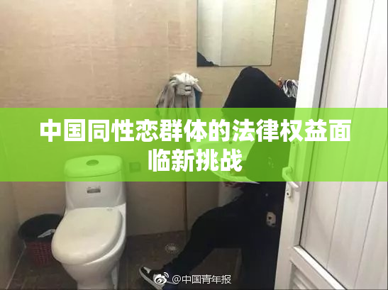 中国同性恋群体的法律权益面临新挑战
