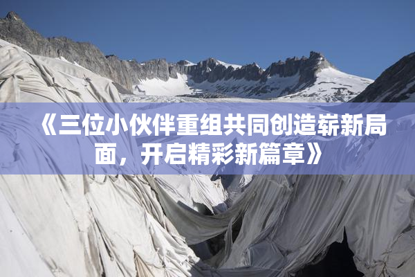 《三位小伙伴重组共同创造崭新局面，开启精彩新篇章》