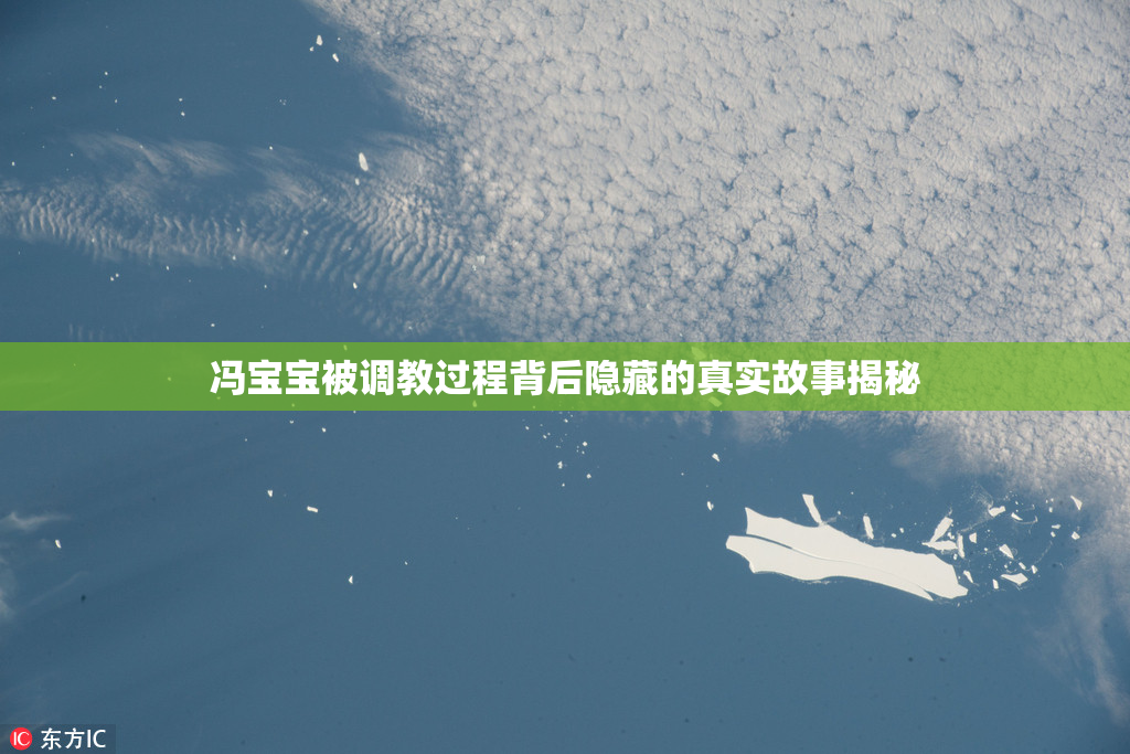 冯宝宝被调教过程背后隐藏的真实故事揭秘