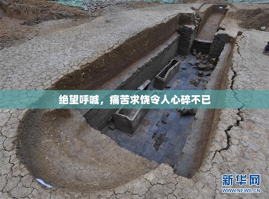 绝望呼喊，痛苦求饶令人心碎不已