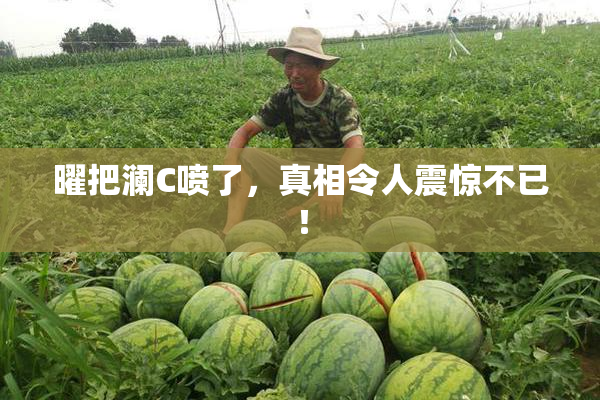 曜把澜C喷了，真相令人震惊不已！