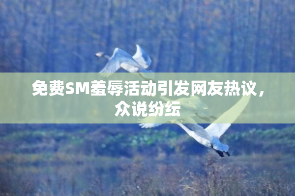 免费SM羞辱活动引发网友热议，众说纷纭