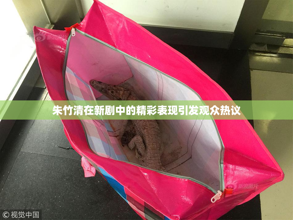 朱竹清在新剧中的精彩表现引发观众热议