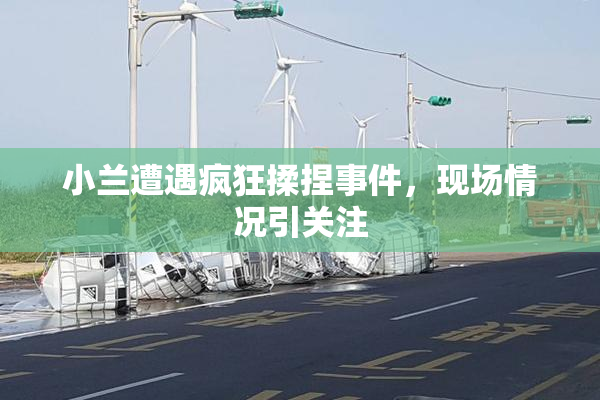 小兰遭遇疯狂揉捏事件，现场情况引关注
