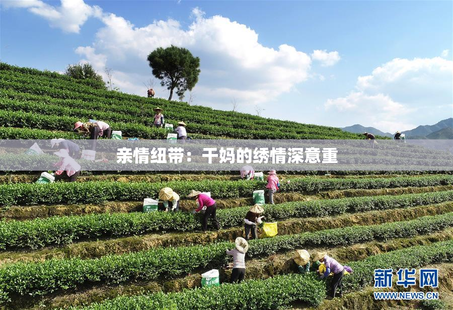 亲情纽带：干妈的绣情深意重