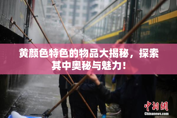 黄颜色特色的物品大揭秘，探索其中奥秘与魅力！