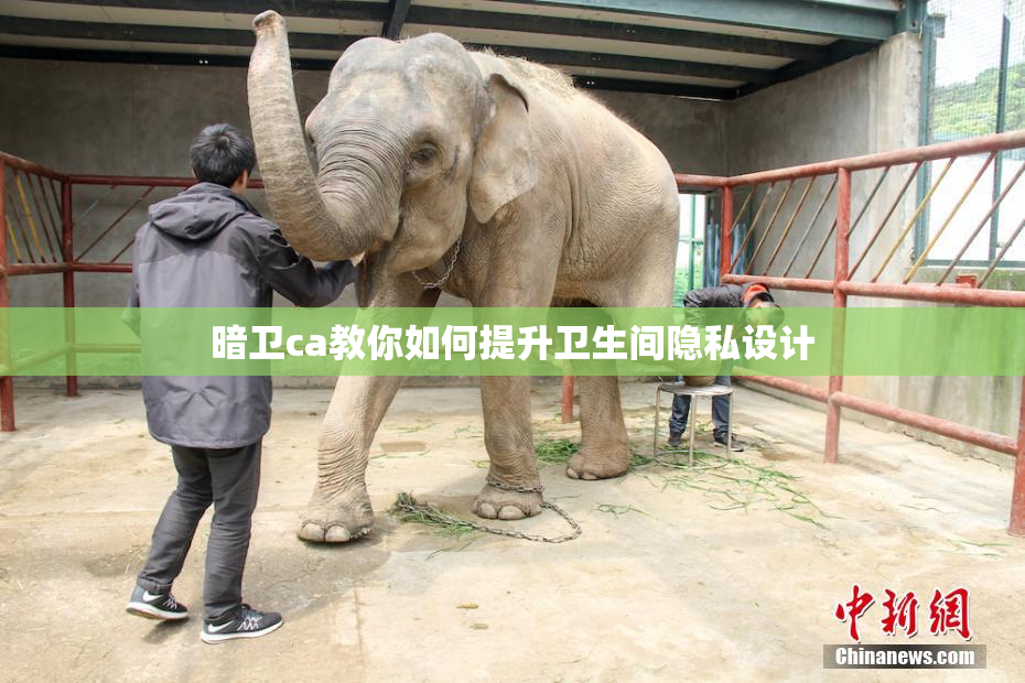 暗卫ca教你如何提升卫生间隐私设计