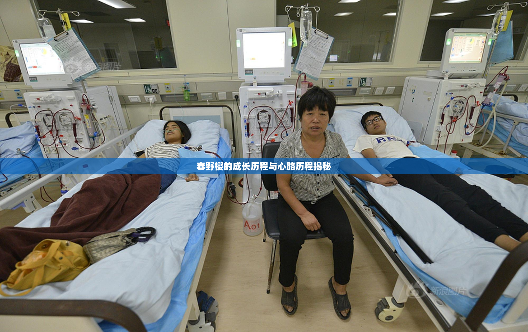 春野樱的成长历程与心路历程揭秘
