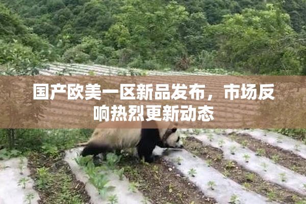 国产欧美一区新品发布，市场反响热烈更新动态