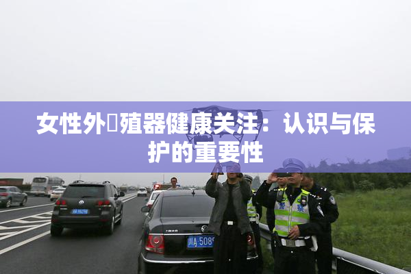 女性外夝殖器健康关注：认识与保护的重要性