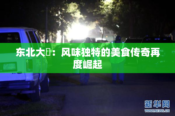 东北大鷄：风味独特的美食传奇再度崛起