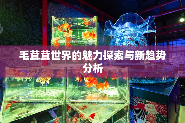 毛茸茸世界的魅力探索与新趋势分析