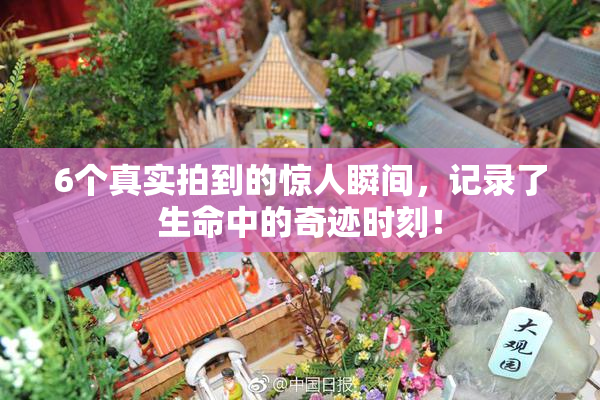 6个真实拍到的惊人瞬间，记录了生命中的奇迹时刻！