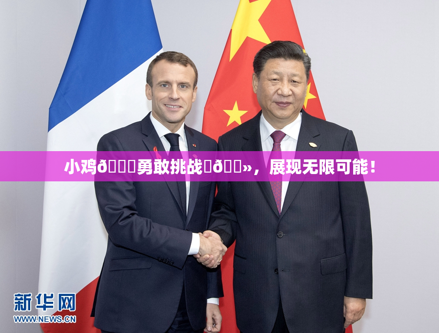 小鸡🐔勇敢挑战‌🐻，展现无限可能！