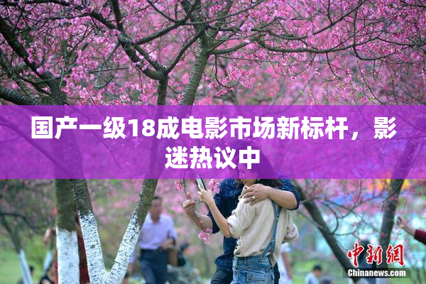 国产一级18成电影市场新标杆，影迷热议中