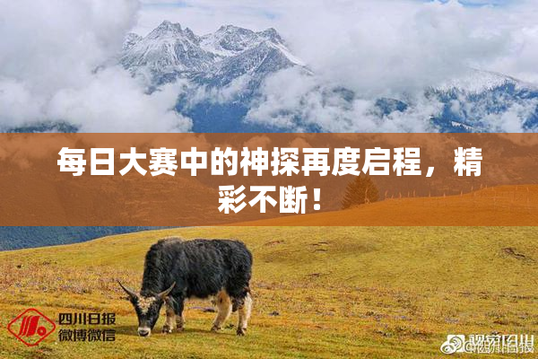每日大赛中的神探再度启程，精彩不断！