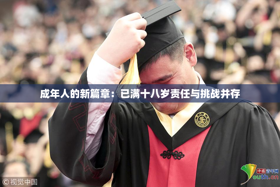 成年人的新篇章：已满十八岁责任与挑战并存