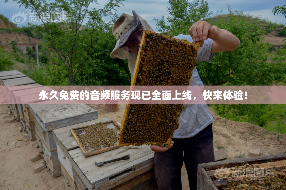 永久免费的音频服务现已全面上线，快来体验！