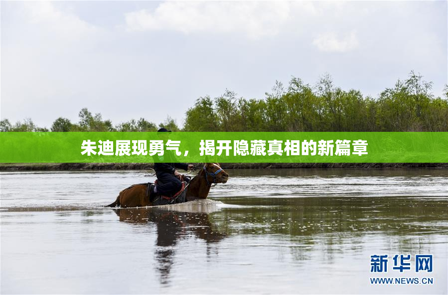 朱迪展现勇气，揭开隐藏真相的新篇章