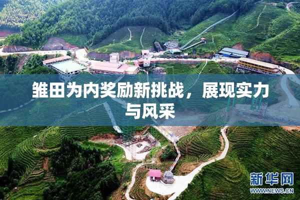 雏田为内奖励新挑战，展现实力与风采