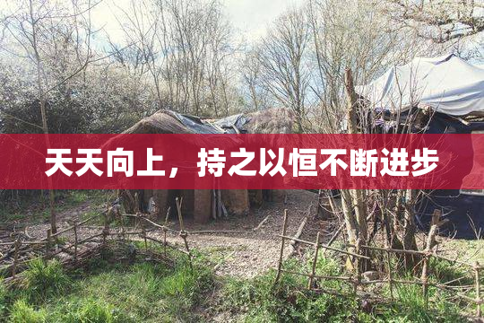 天天向上，持之以恒不断进步