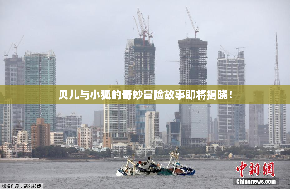 贝儿与小狐的奇妙冒险故事即将揭晓！