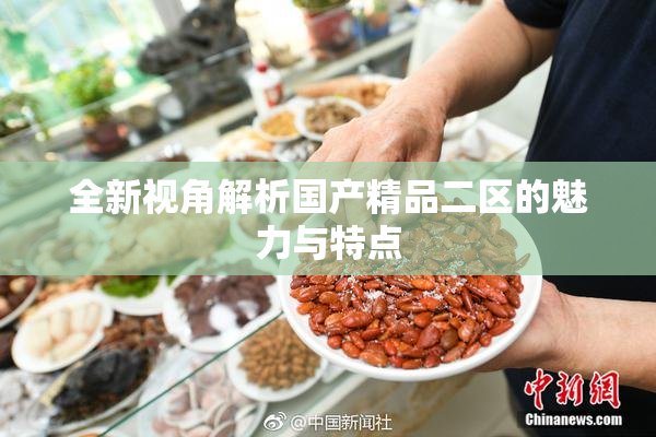 全新视角解析国产精品二区的魅力与特点