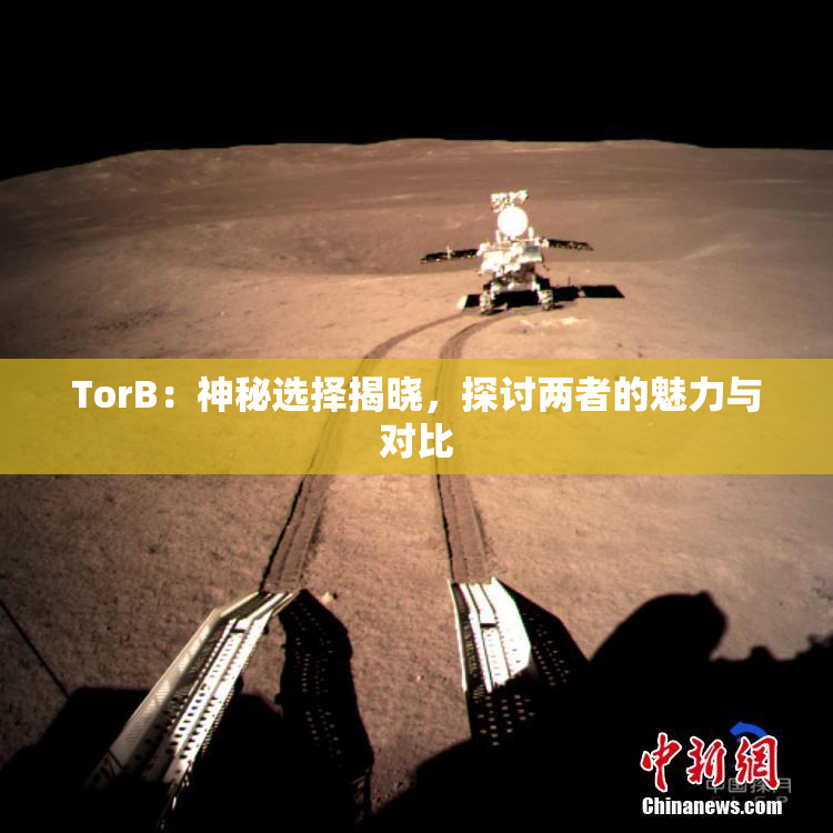 TorB：神秘选择揭晓，探讨两者的魅力与对比